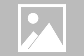 今年会官方入口-实力坚强球员在区域比赛中展现出众表现