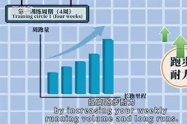 今年会官方入口-关于人努力调整战术，备战下一场比赛的信息