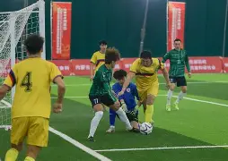 云南队大胜内蒙古队，稳定积分榜首的简单介绍