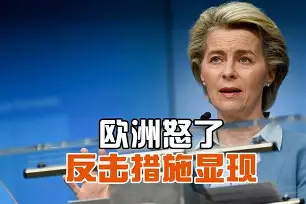 欧洲战场主力 欧洲战场主力