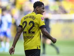 多特蒙德主场再次胜出，稳固积分榜位置的简单介绍