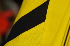 多特蒙德主场再次胜出，稳固积分榜位置的简单介绍