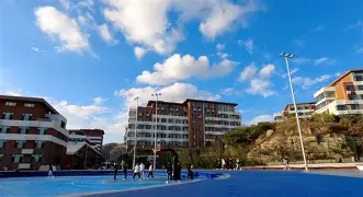 包含天津天海客负青岛黄海降级压力加大的词条