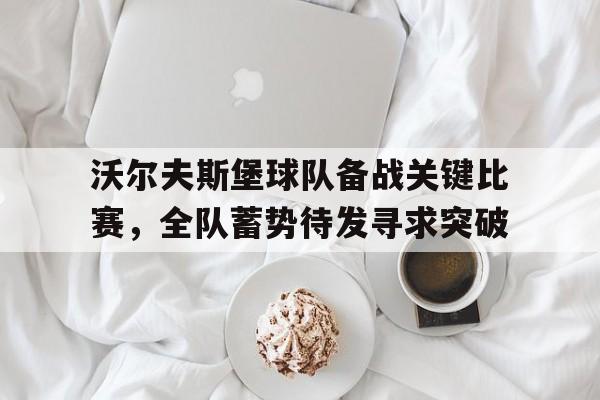 包含沃尔夫斯堡球队备战关键比赛，全队蓄势待发寻求突破的词条